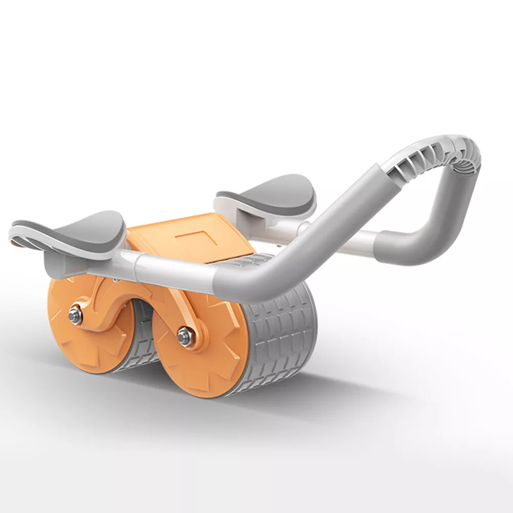 Ab Roller