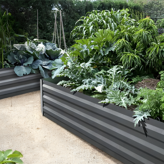Premium Garden Bed